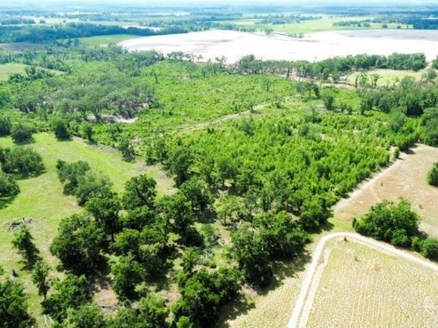 Land for sale in Mayo, Florida