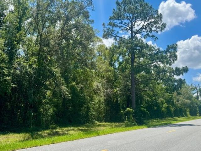 Land for sale in Mayo, Florida