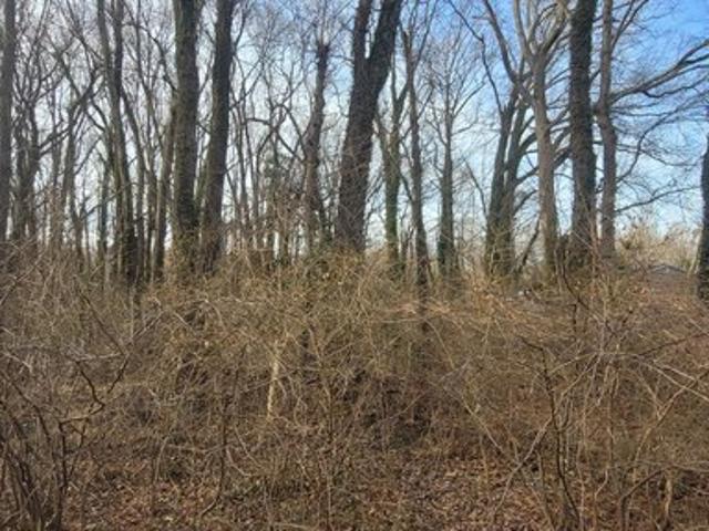 Land for sale in Mayo, Maryland