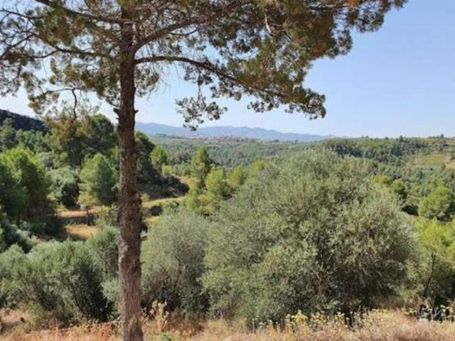Casa en alquiler en Priorat, Catalunya