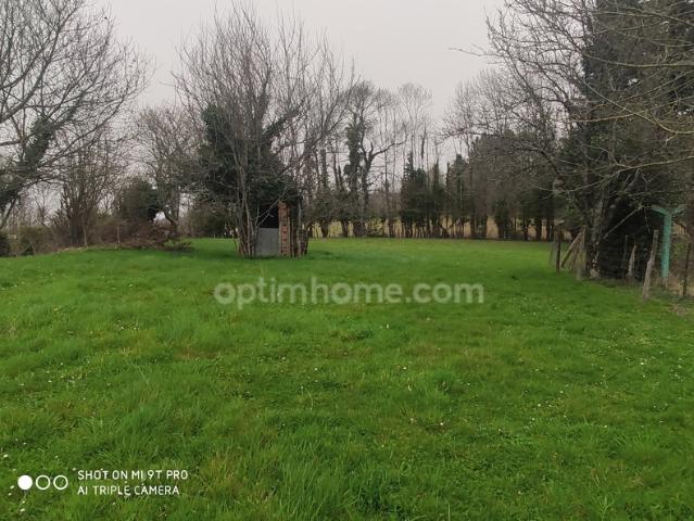 Terrain vente à France métropolitaine, Mazerolles