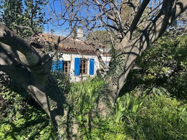 Maison vente à Arles