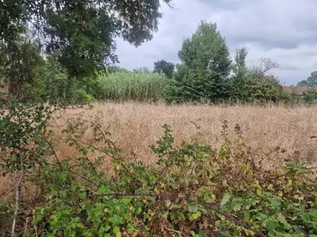 Terrain vente à Mazion, Gironde