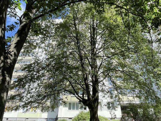 Mieszkanie do wynajęcia w Warszawa, Mazowieckie
