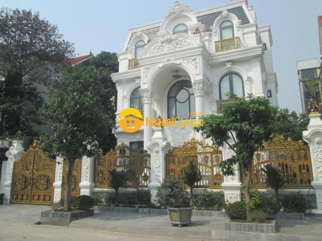 Biệt Thự bán