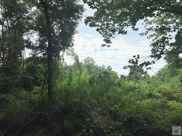Land for sale in Ark