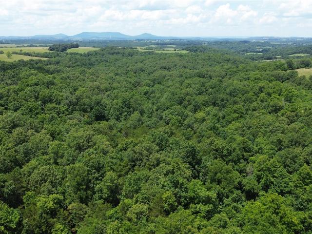 Land for sale in Ark