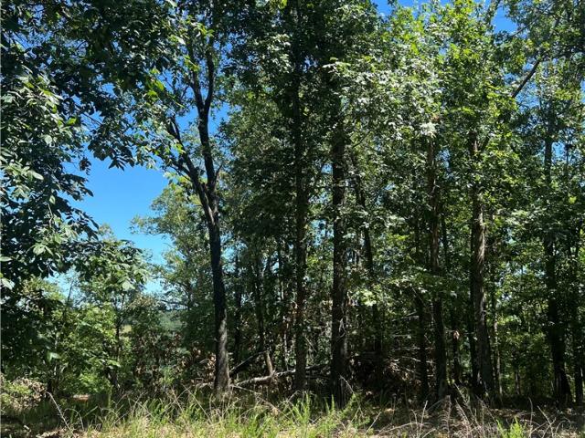 Land for sale in Ark