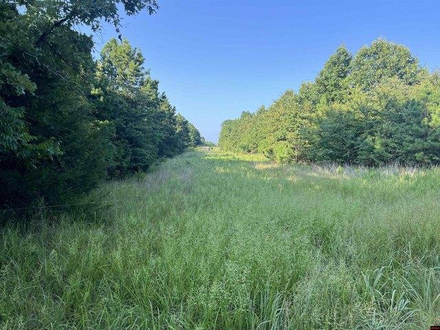 Land for sale in Ark