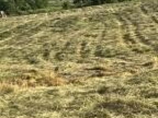 Land for sale in Salvisa