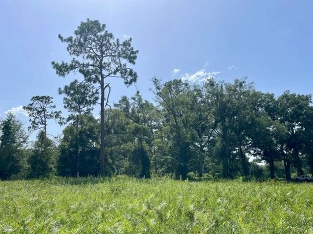 Land for sale in Suwannee, Florida