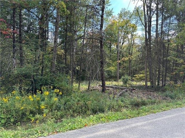 Land for sale in New York