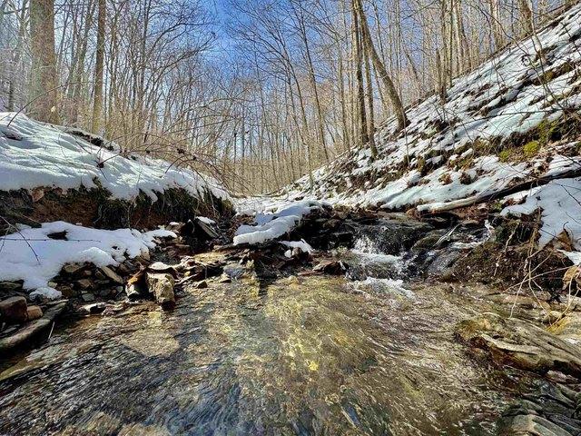 Farm for sale in Huttonsville, West Virginia