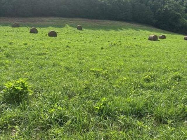 Land for sale in Tennessee
