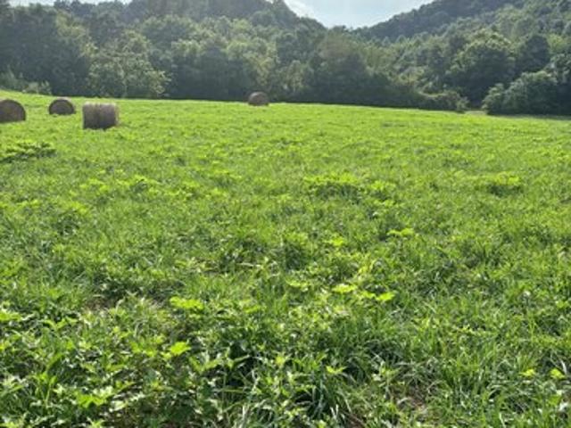 Land for sale in Tennessee