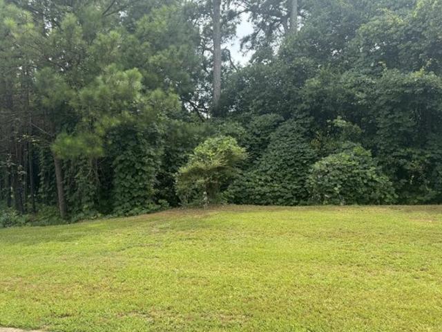 Land for sale in Stockbridge