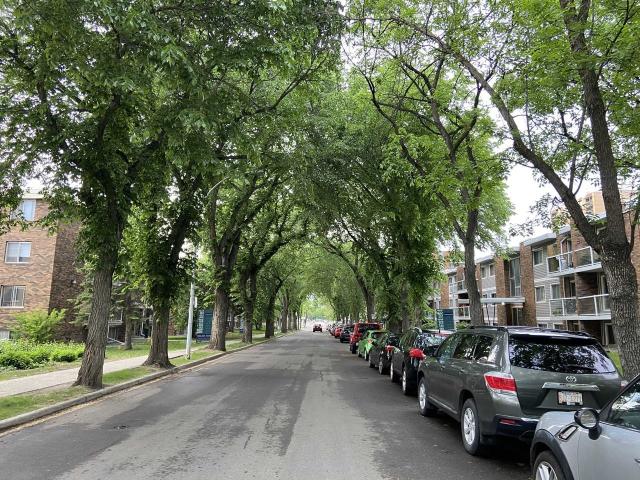 Apartment for rent in Dunluce, Edmonton