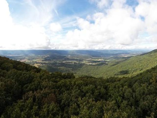 Land for sale in Signal Mountain, East Tennessee