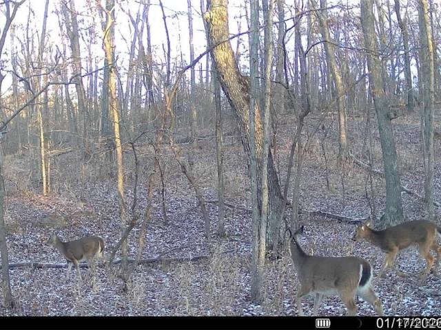 Land for sale in Stover, Missouri