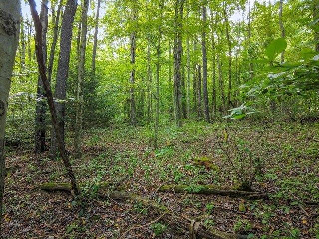 Farm for sale in Beaver, Pennsylvania