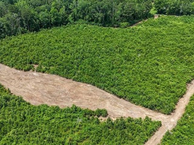 Land for sale in Liberty, Mississippi