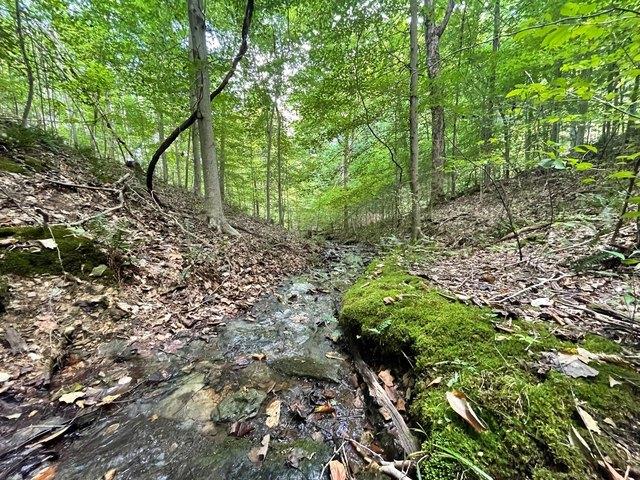 Land for sale in Tennessee