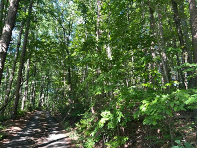 House for sale in Ringgold, Georgia