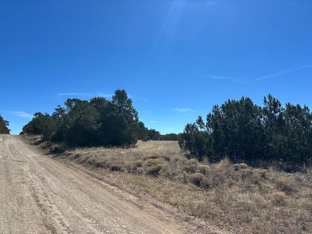 Land for sale in Edgewood, New Mexico