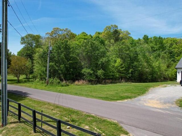 Land for sale in White Pine