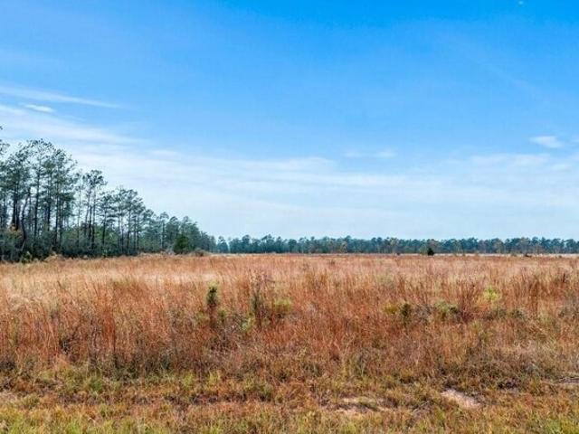 Land for sale in Longville