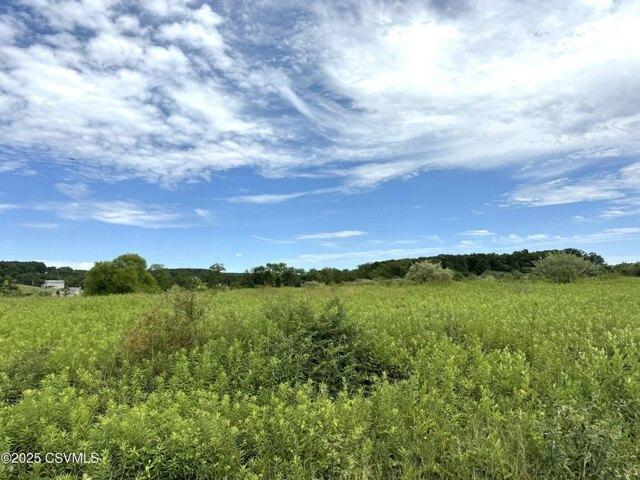 Land for sale in Muncy