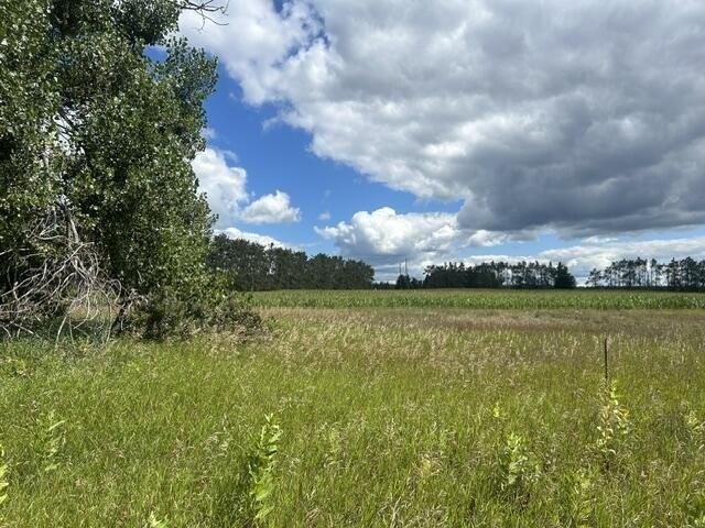 Land for sale in Gaylord, Michigan