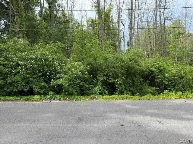 Land for sale in Fruit Valley, Oswego County