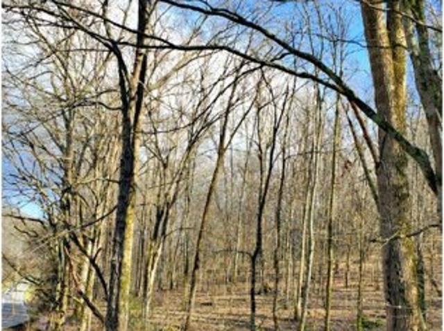 Land for sale in Nashville Land for sale in Nashville
