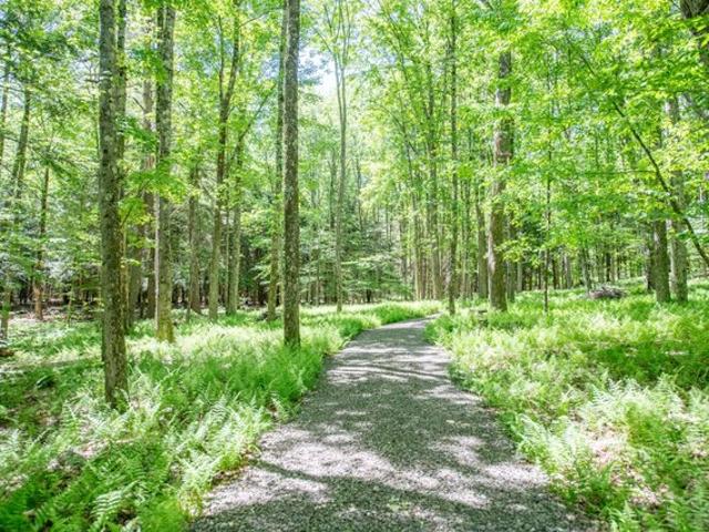 Land for sale in Davenport, New York