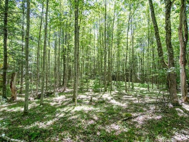 Land for sale in Davenport, New York