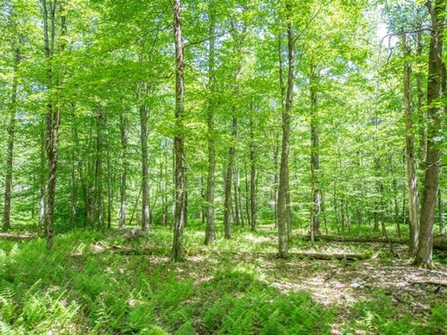 Land for sale in Davenport, New York