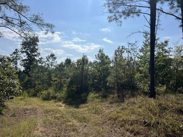 Land for sale in Ethel, Mississippi