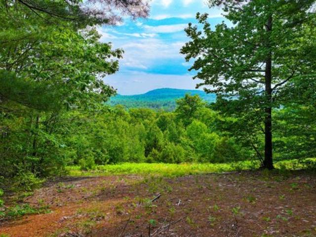 Land for sale in Waterford, Maine