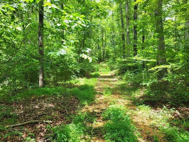 Land for sale in Tennessee