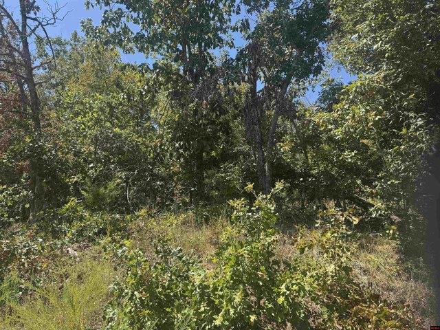 Land for sale in Ark