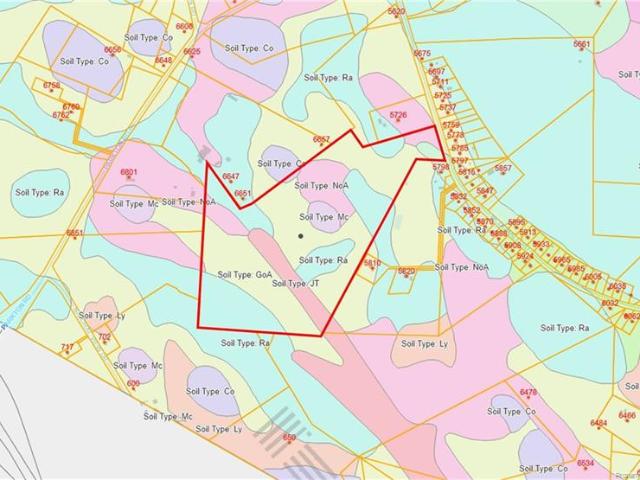 Land for sale in Parkton, North Carolina