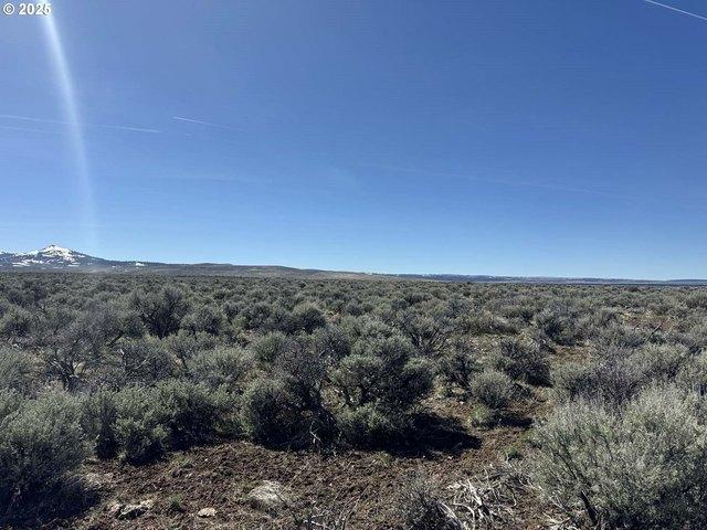 Farm for sale in Plush, Lake County