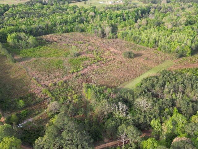 Land for sale in Starkville, Mississippi