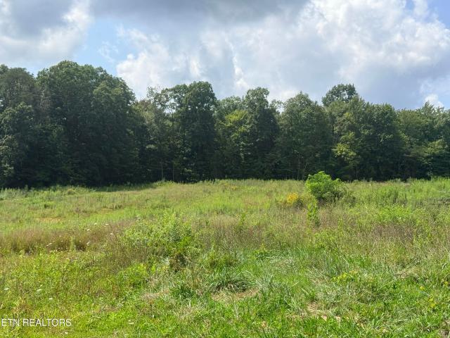Land for sale in Tennessee
