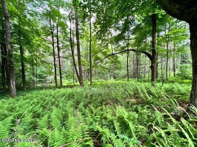 Land for sale in Gloversville, New York