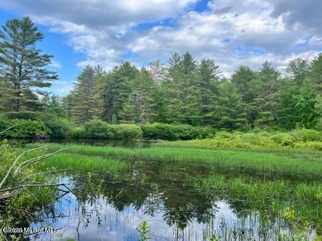 Land for sale in Gloversville, New York