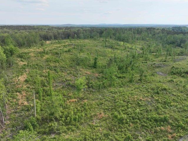 Land for sale in Ark