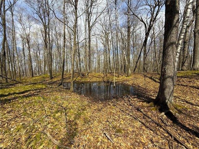 Land for sale in Isle, Minnesota