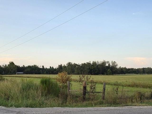 Farm for sale in Delhi, Louisiana